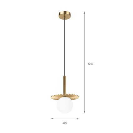 Chita 1xG9/5W/230V guld lyskilde