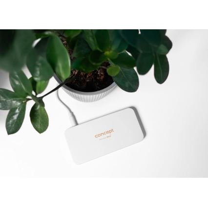 Concept KZ2010 - LED lomme-kosmetikspejl PERFECT SKIN LED/1,5W/5V 4500-5500K 300 mAh hvid