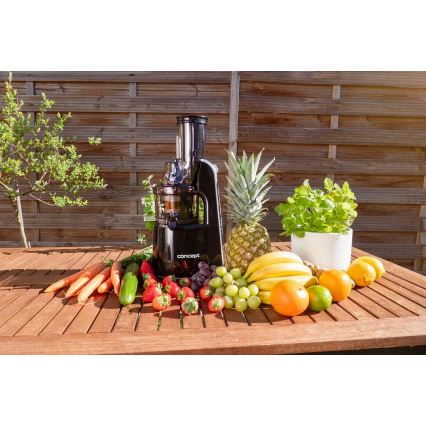 Concept LO7067 - Sneglejuicer 3-i-1 240W/230V sort