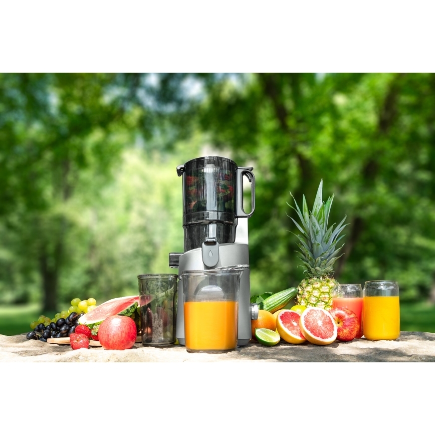Concept LO7120 - Slow juicer JUICY 250W/230V grå