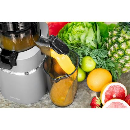 Concept LO7120 - Slow juicer JUICY 250W/230V grå