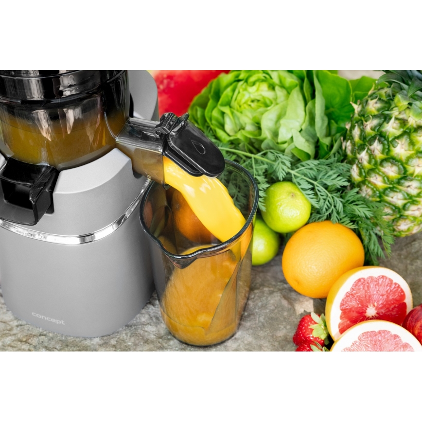 Concept LO7120 - Slow juicer JUICY 250W/230V grå