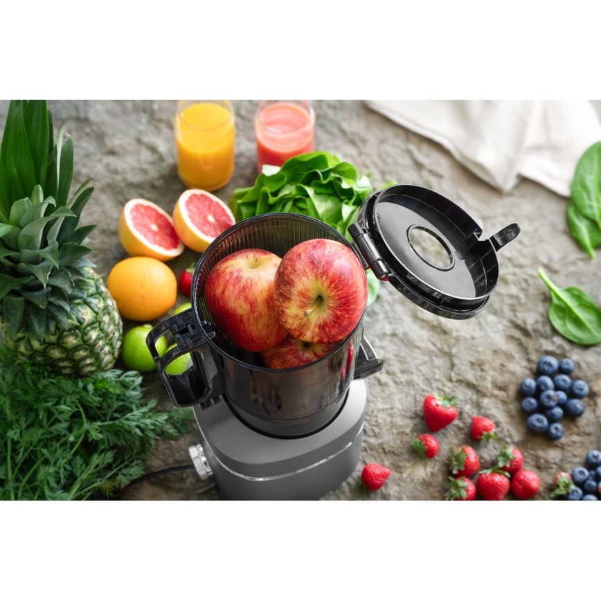 Concept LO7120 - Slow juicer JUICY 250W/230V grå