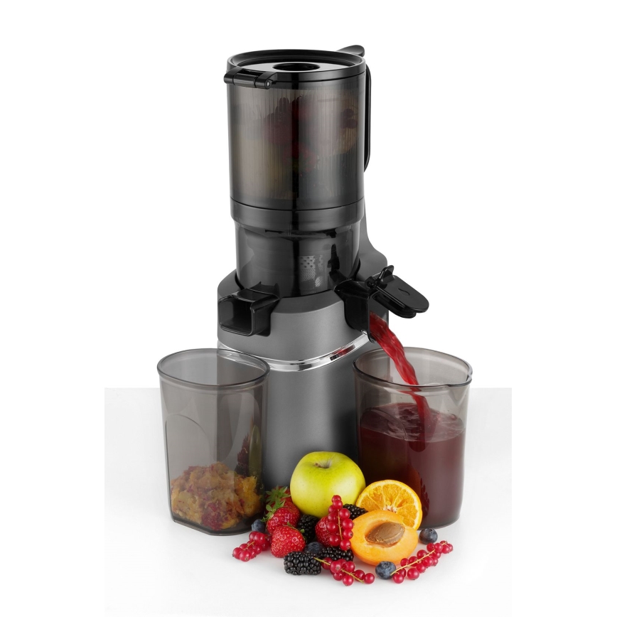 Concept LO7120 - Slow juicer JUICY 250W/230V grå