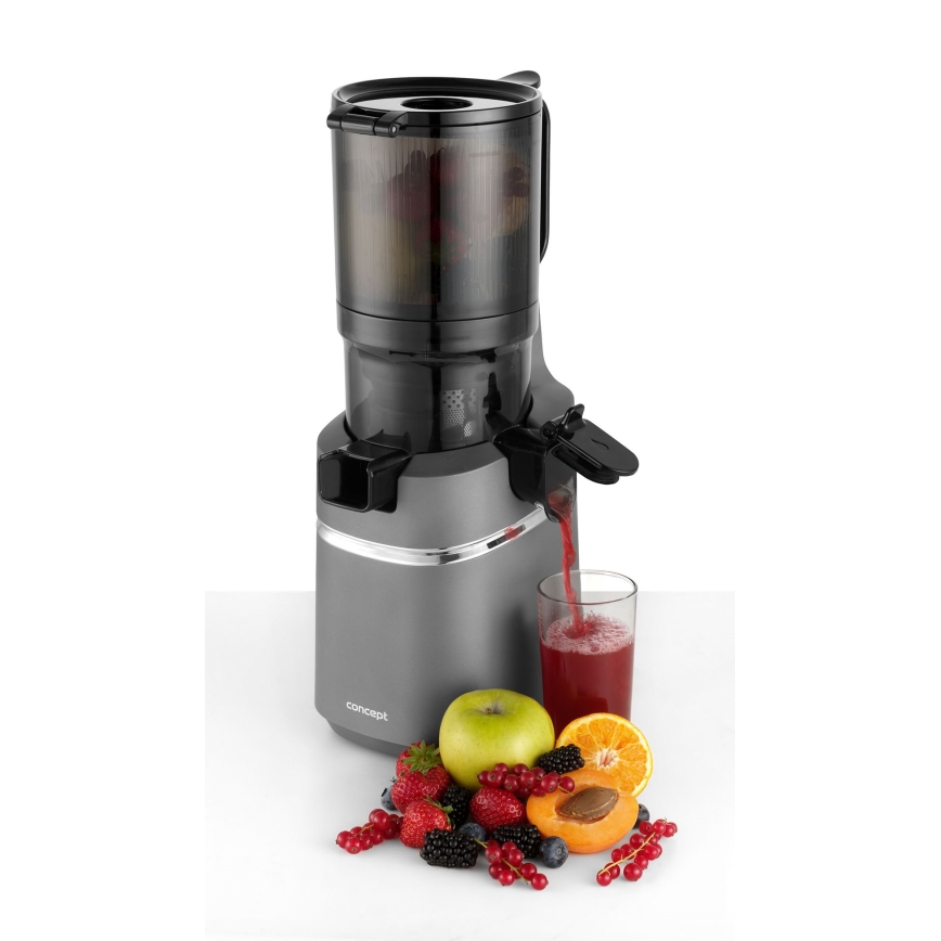 Concept LO7120 - Slow juicer JUICY 250W/230V grå