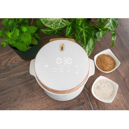 Concept RE3030 - Digital riskoger 2-i-1 380W/230V 1,5 l hvid/trælook