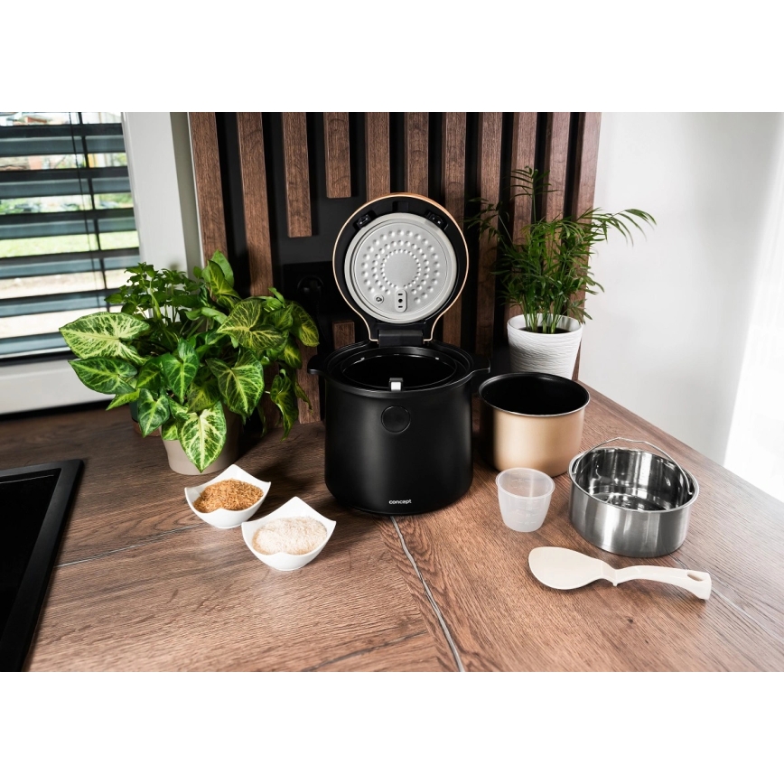Concept RE4040 - Digital riskoger 2-i-1 450W/230V 2 l sort/trælook