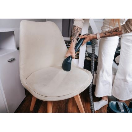 Concept TP2010 - DEEPCLEAN tæpperenser 450W/230V blå