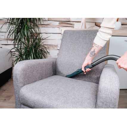 Concept TP2010 - DEEPCLEAN tæpperenser 450W/230V blå