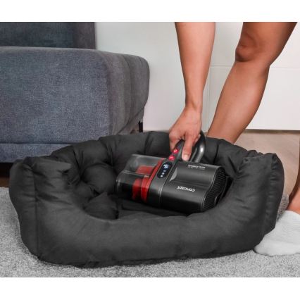 Concept VP2000 - Håndholdt antibakteriel støvsuger med UV-C-lampe LUMISTAR 120W/11,1V