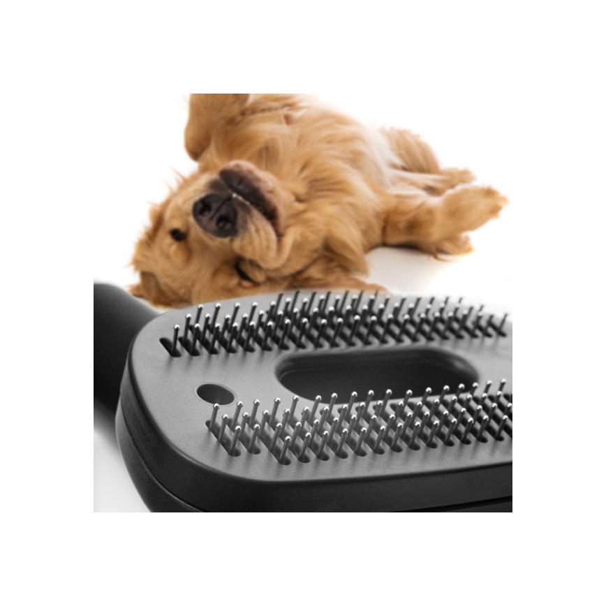 Concept VP5240N - Poseløs støvsuger 4A RADICAL PET EXPERT 2,5 l 800W/230V bronze