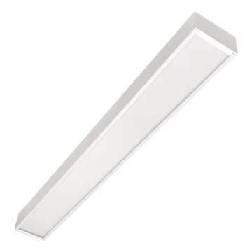 CYNIDECO LED/12W/230V 4000K hvid LED loftmonteret pendel