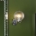 Där Lighting WAY0750 - Badeværelses væglampe WAYNE 1xG9/3W/230V IP44 krom