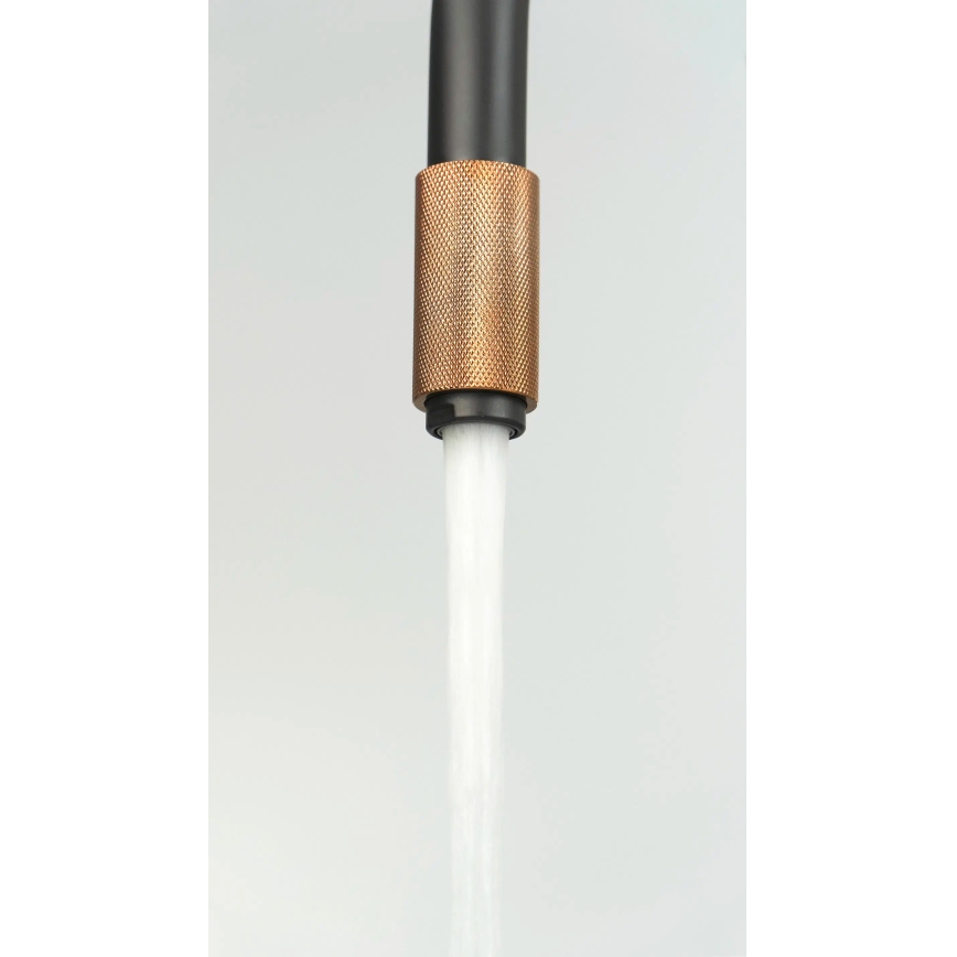 Deante BCA_B64M - ASTER køkkenarmatur sort/messing