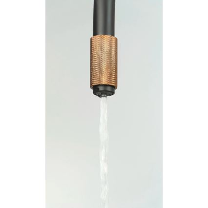 Deante BCA_B64M - ASTER køkkenarmatur sort/messing