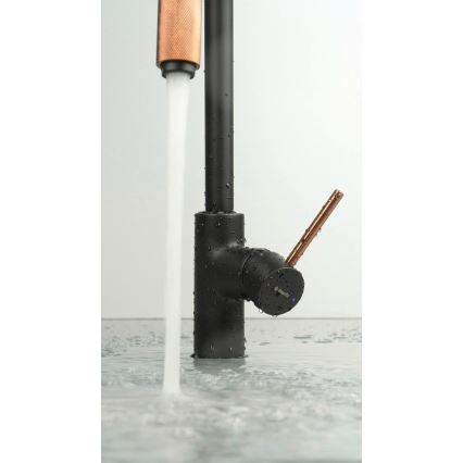 Deante BCA_B64M - ASTER køkkenarmatur sort/messing