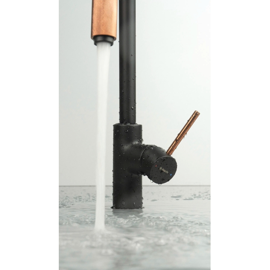 Deante BCA_B64M - ASTER køkkenarmatur sort/messing