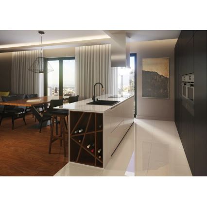 Deante BCA_B64M - ASTER køkkenarmatur sort/messing