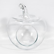Dekorativ vase Apple transparent