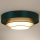Duolla - LED loftlampe LUNETA LED/26W/230V diameter 60 cm 4000K grøn/guldfarvet/hvid