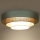 Duolla - LED loftlampe LUNETA LED/26W/230V diameter 60 cm 4000K turkis/beige/cremefarvet