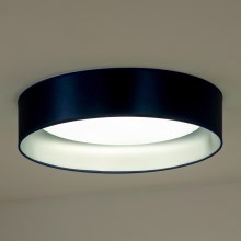 Duolla - LED loftlampe ROLLER LED/24W/230V blå/sølvfarvet