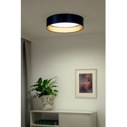 Duolla - LED loftlampe ROLLER LED/24W/230V diameter 45 cm blå/guldfarvet