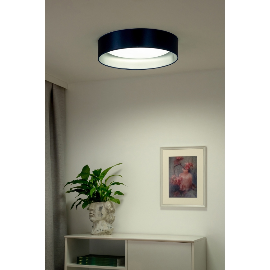 Duolla - LED loftlampe ROLLER LED/24W/230V diameter 45 cm blå/sølvfarvet