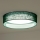 Duolla - LED loftlampe ROLLER LED/24W/230V diameter 45 cm grøn
