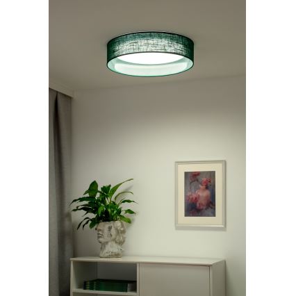 Duolla - LED loftlampe ROLLER LED/24W/230V diameter 45 cm grøn