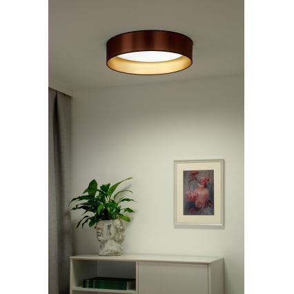 Duolla - LED loftlampe ROLLER LED/24W/230V diameter 45 cm kobber/guldfarvet