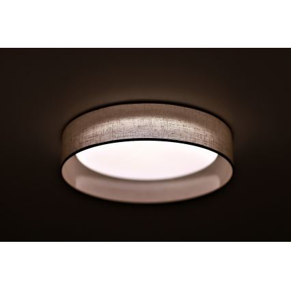 Duolla - LED loftlampe ROLLER LED/24W/230V diameter 45 cm lysegrå