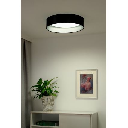 Duolla - LED loftlampe ROLLER LED/24W/230V diameter 45 cm sort/sølvfarvet