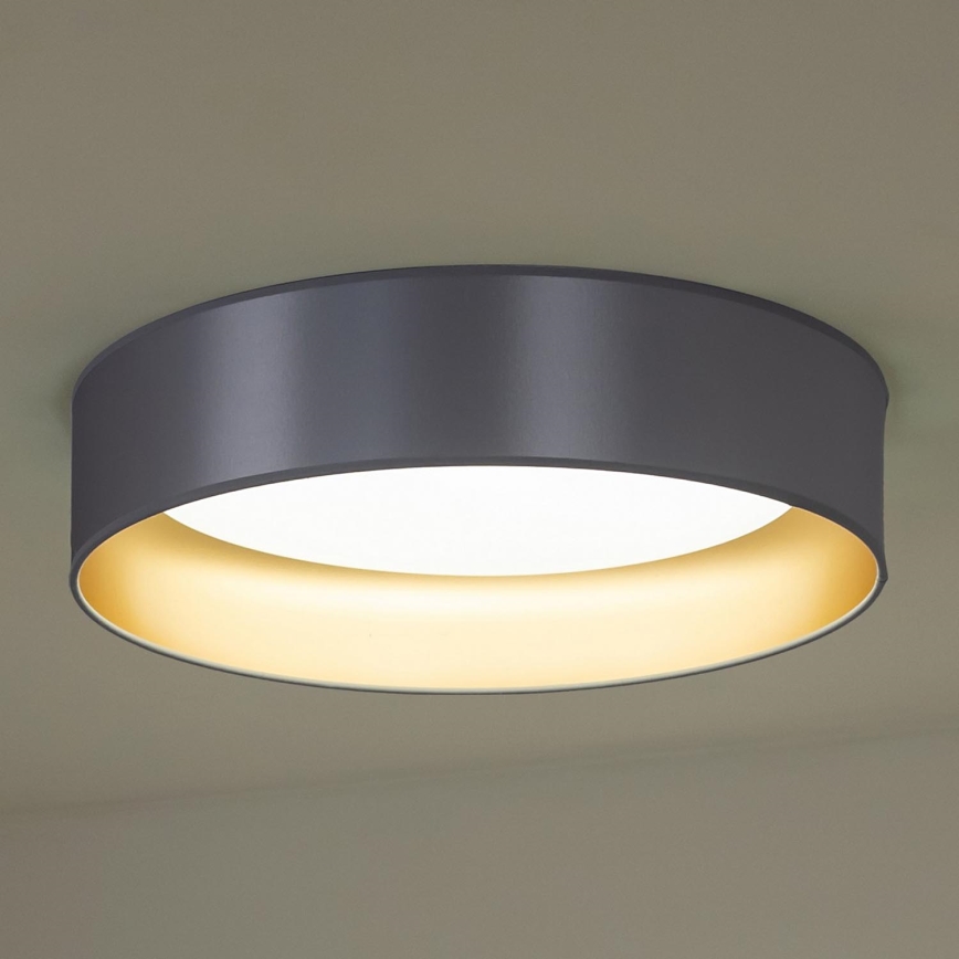 Duolla - LED loftlampe ROLLER LED/24W/230V diameter 45 cm sølvfarvet/guldfarvet