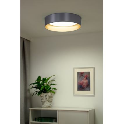 Duolla - LED loftlampe ROLLER LED/24W/230V diameter 45 cm sølvfarvet/guldfarvet