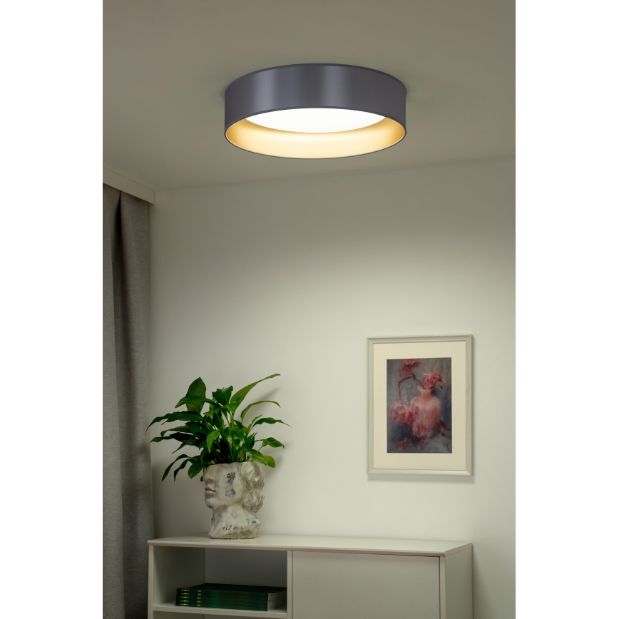 Duolla - LED loftlampe ROLLER LED/24W/230V diameter 45 cm sølvfarvet/guldfarvet