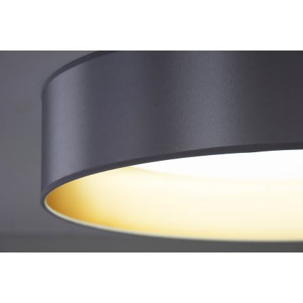 Duolla - LED loftlampe ROLLER LED/24W/230V diameter 45 cm sølvfarvet/guldfarvet
