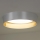 Duolla - LED loftlampe ROLLER LED/24W/230V diameter 45 cm sølvfarvet/guldfarvet