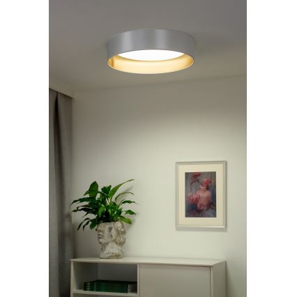 Duolla - LED loftlampe ROLLER LED/24W/230V diameter 45 cm sølvfarvet/guldfarvet