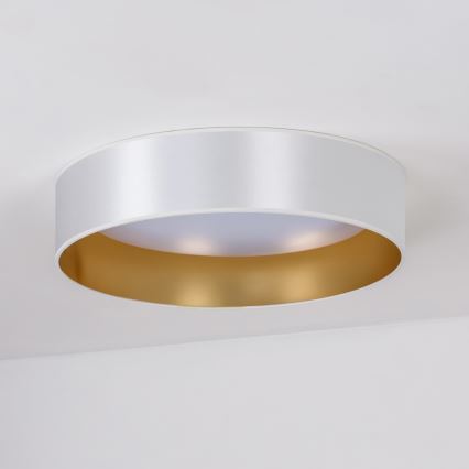 Duolla - LED loftlampe ROLLER LED/24W/230V diameter 45 cm sølvfarvet/guldfarvet