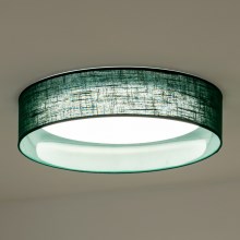 Duolla - LED loftlampe ROLLER LED/24W/230V grøn