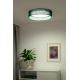 Duolla - LED loftlampe ROLLER LED/24W/230V grøn