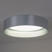 Duolla - LED loftlampe ROLLER LED/24W/230V sølvfarvet