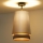 Duolla - Loftlampe BELL SHINY 1xE27/15W/230V diameter 25 cm sølvfarvet/sort