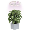 Dæmpbar indendørs LED-vækstlampe GROW LED/8W/5V