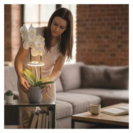 Dæmpbar indendørs LED-vækstlampe GROW LED/8W/5V