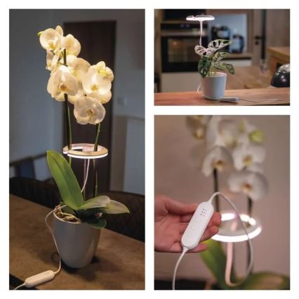 Dæmpbar indendørs LED-vækstlampe GROW LED/8W/5V