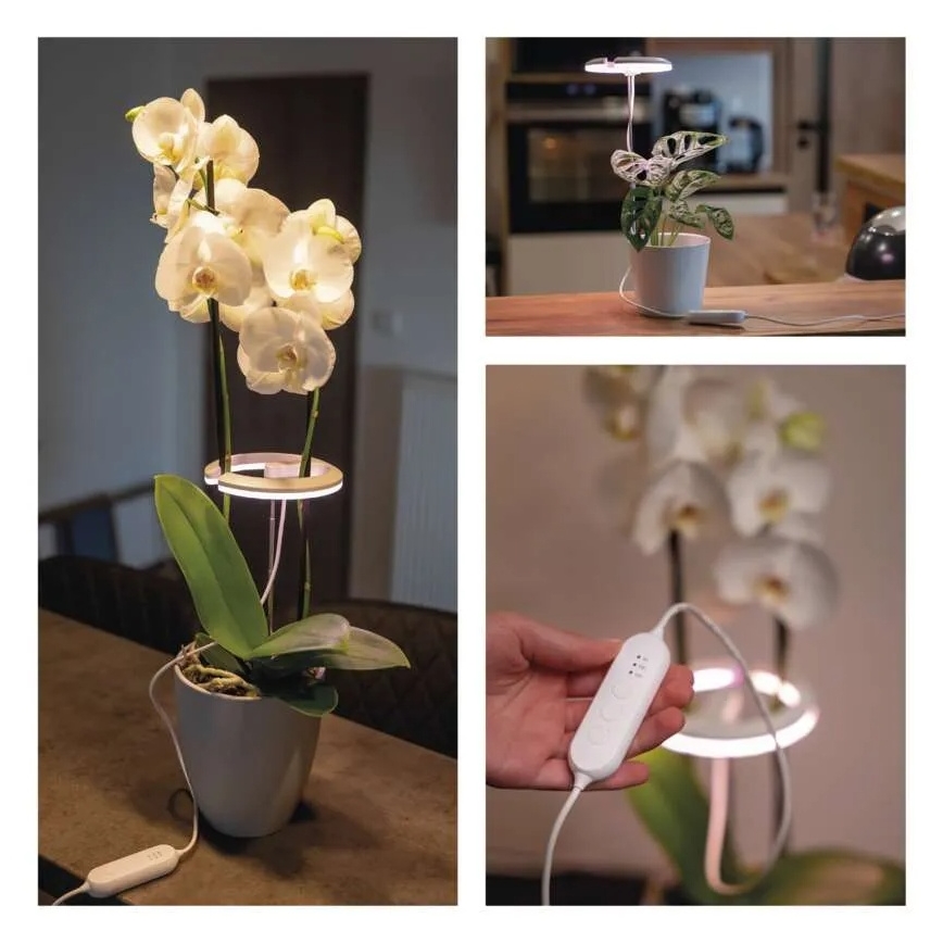 Dæmpbar indendørs LED-vækstlampe GROW LED/8W/5V