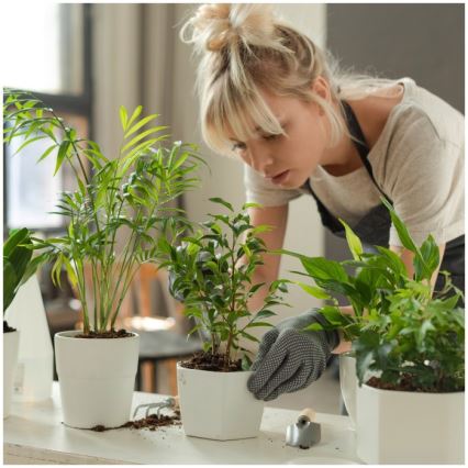 LED-dæmpbar bordlampe til dyrkning af planter VERDI LED/12W/230V 4500K CRI 95 hvid