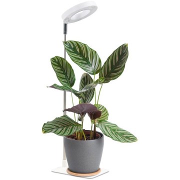 Dæmpbar LED-bordlampe til dyrkning af planter VERDI LED/5W/5V 1300K CRI 95 hvid